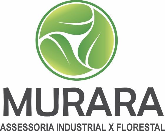 Murara Engenharia